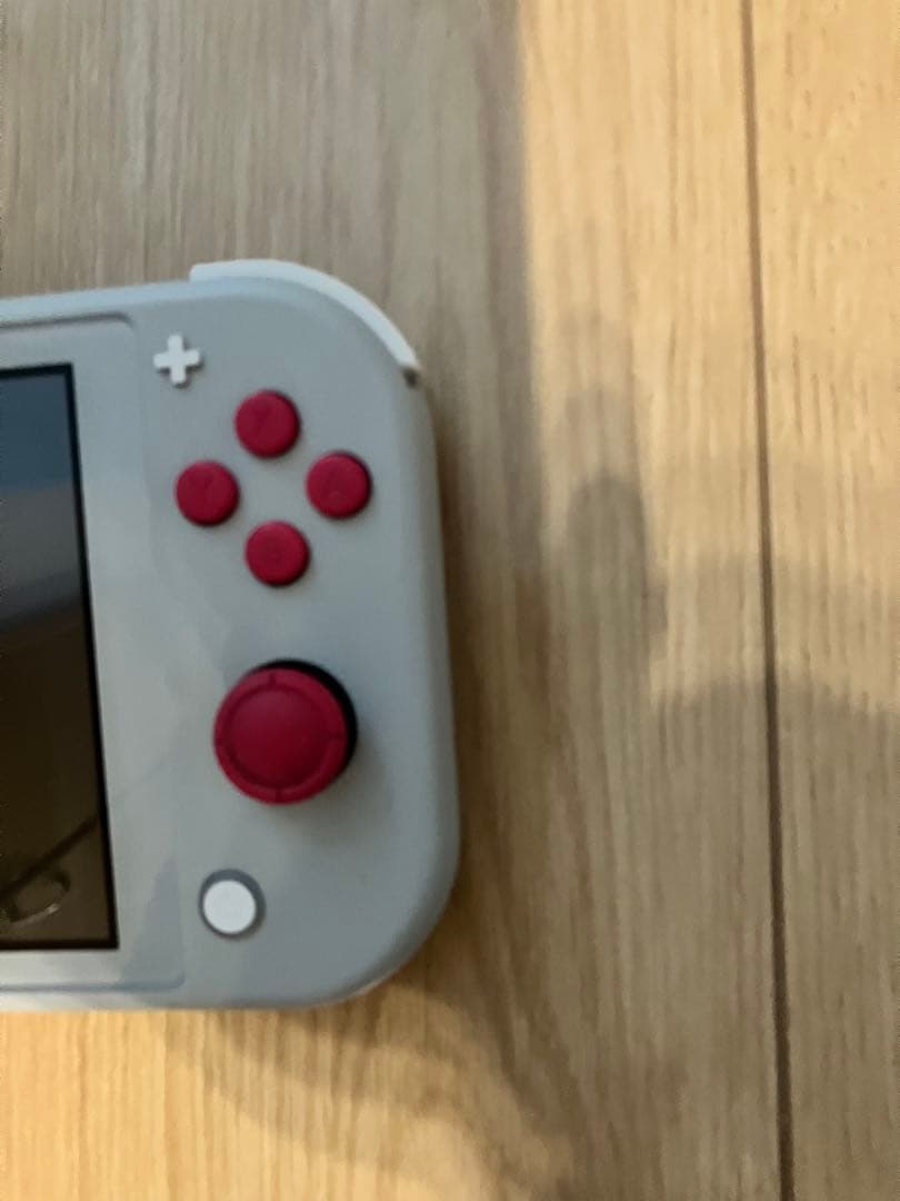 Nintendo Switch Lite ポケモン　ケース付き