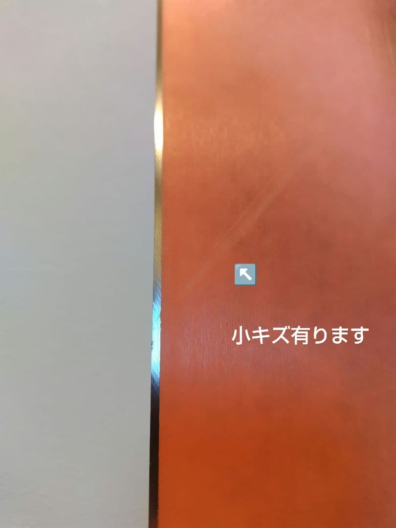 RIDE WARPIG M スノーボード