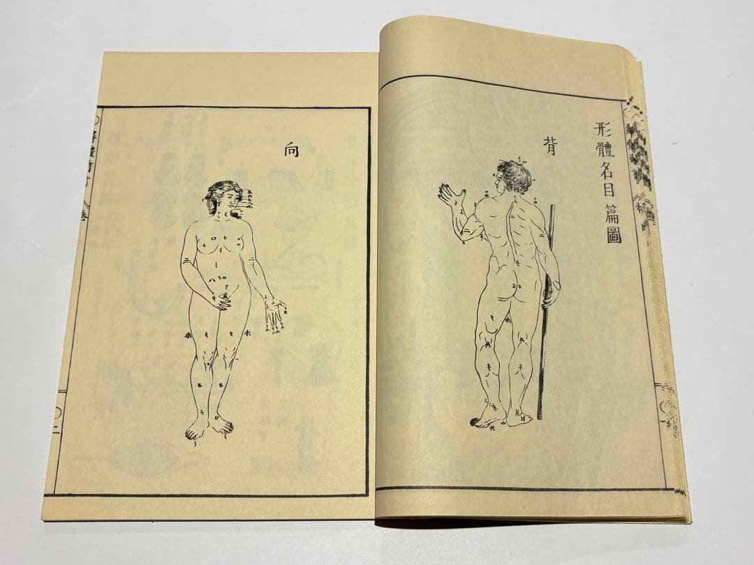 「解体新書」杉田玄白 昭和48年復刻版 講談社刊 解説共揃6冊|和本