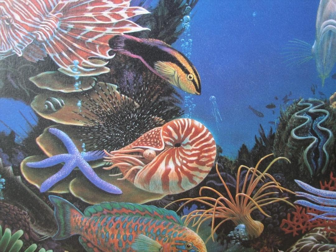 チャールズリンブラッグ「ウォーターエッジ」オフセットリト,究極の水族館