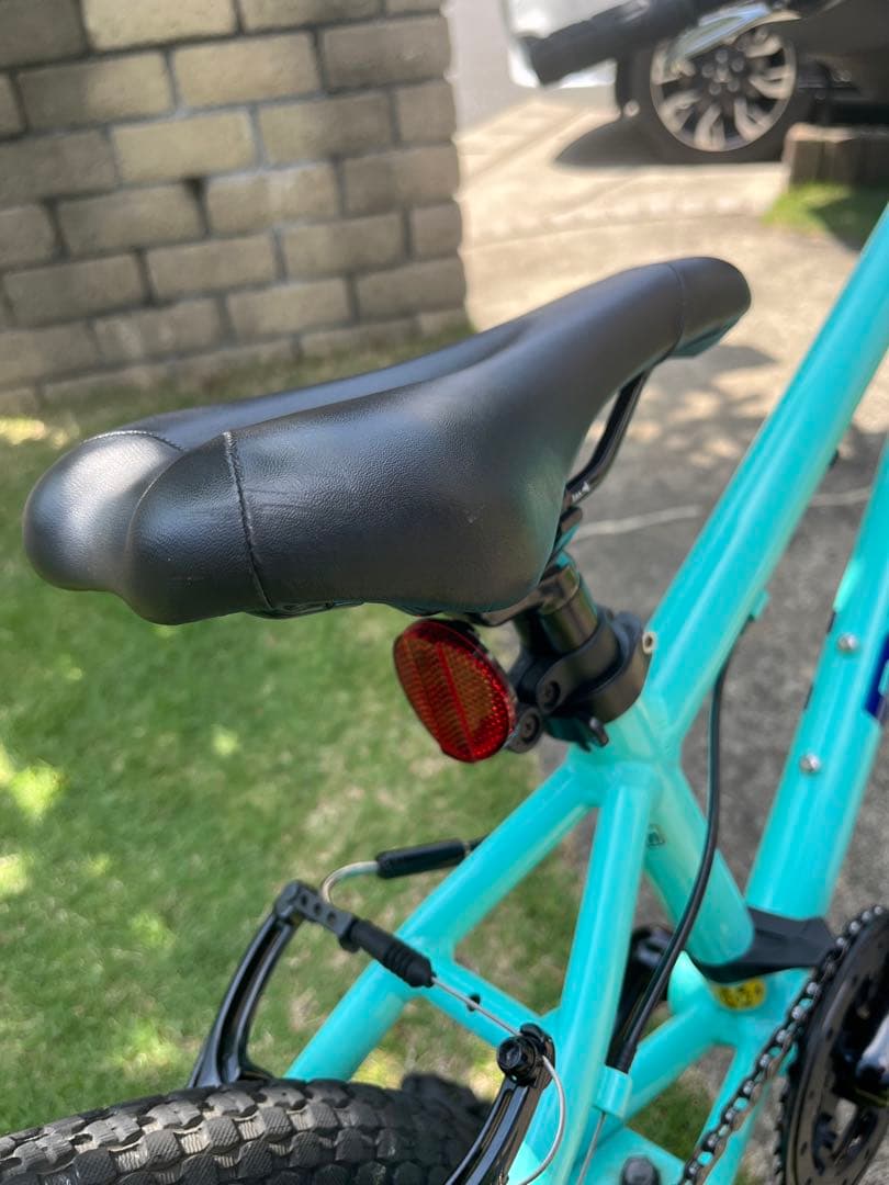 Bianchi　ビアンキ　Pirata 20インチ　直接取引限定