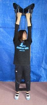 ～デビルウイング、翼を授ける～　デビルウイング・マシン(左右独立タイプ)　黒黒