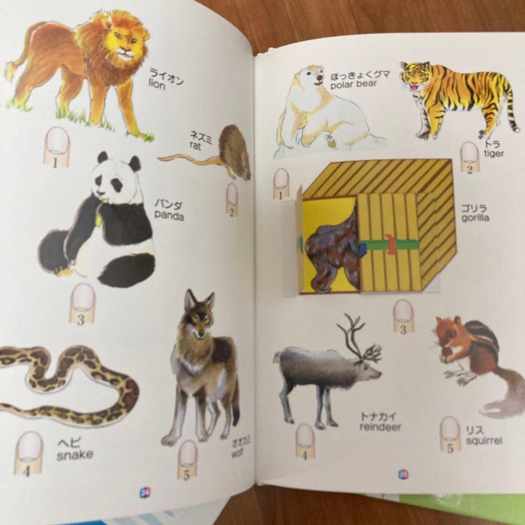 バイリンガルファミリー　英語教材